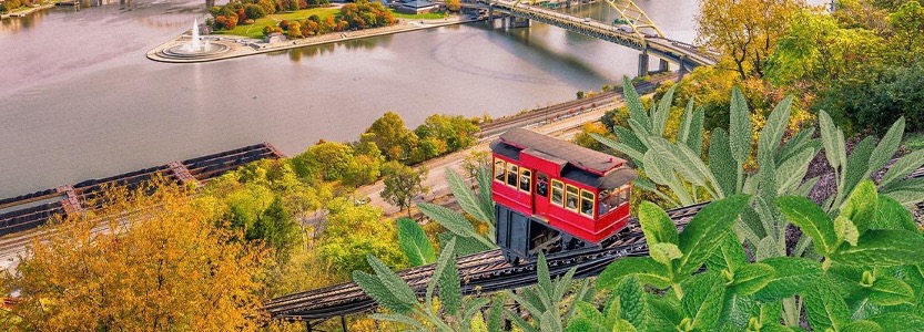 Pittsburgh Incline and The Point