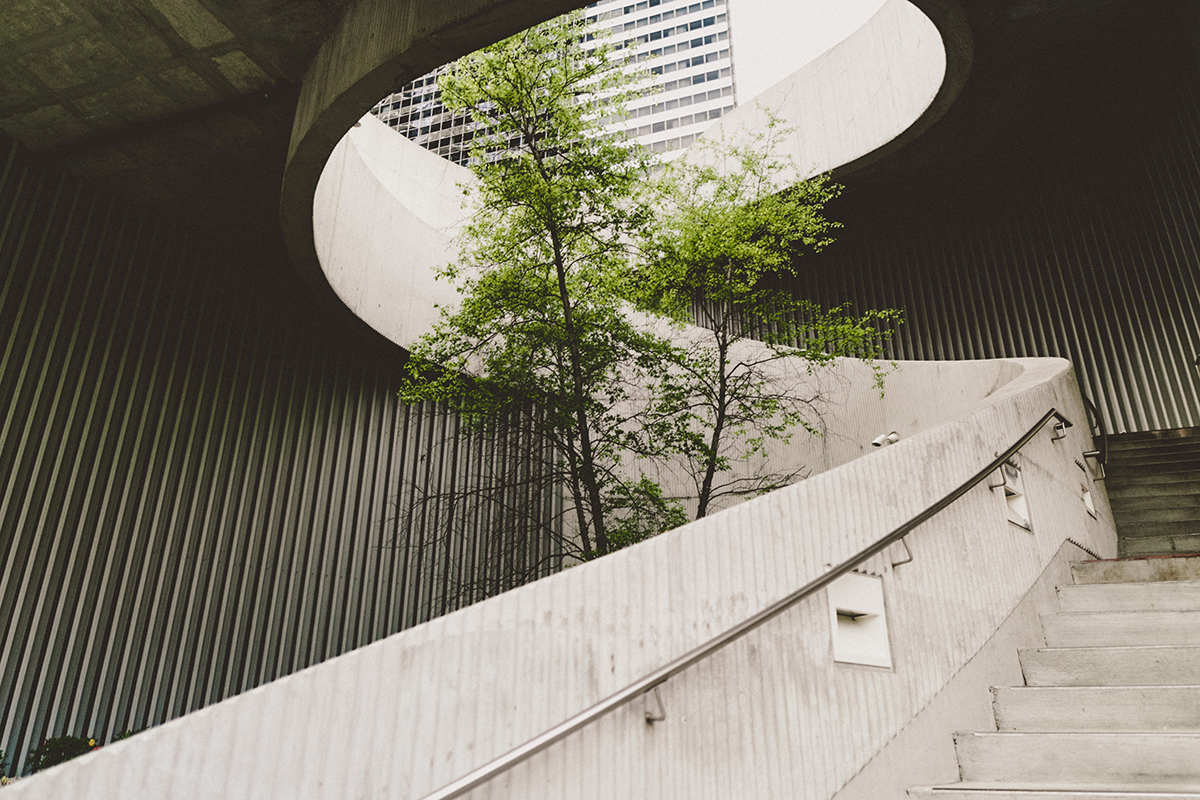 Tree and Staircase