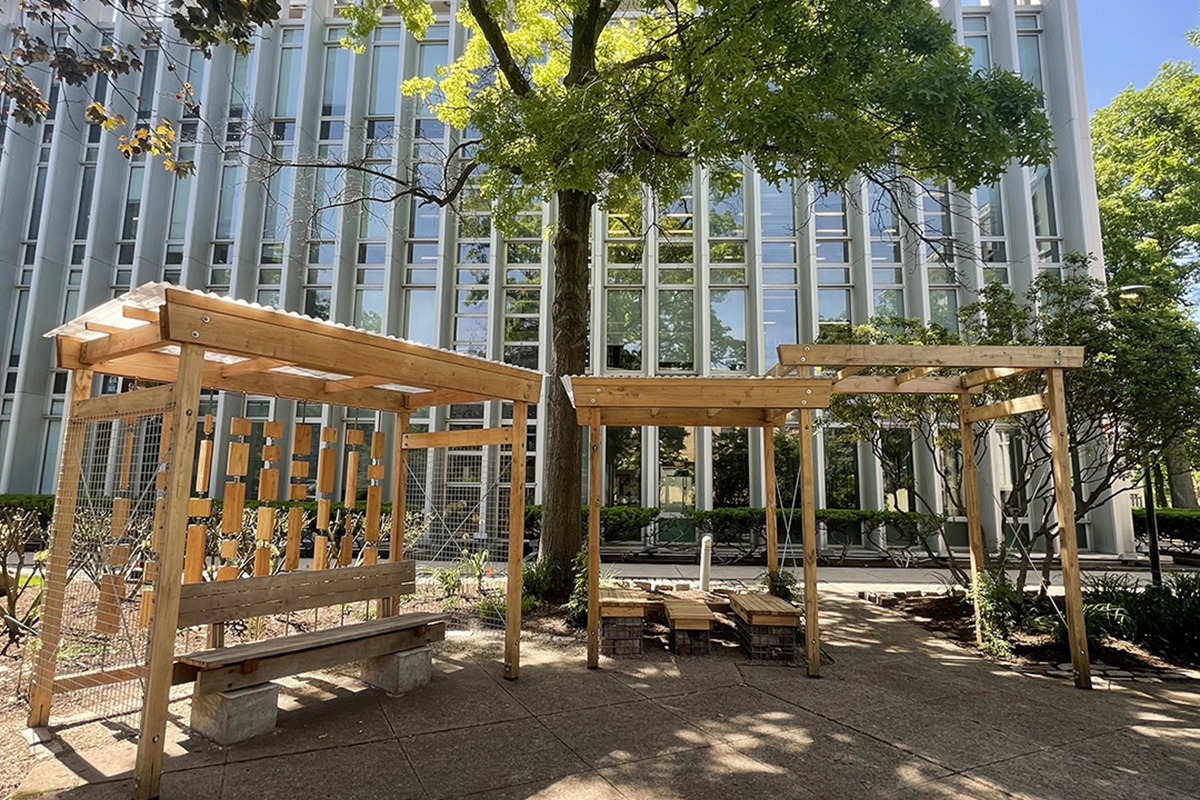 Peace Garden near Hunt Library