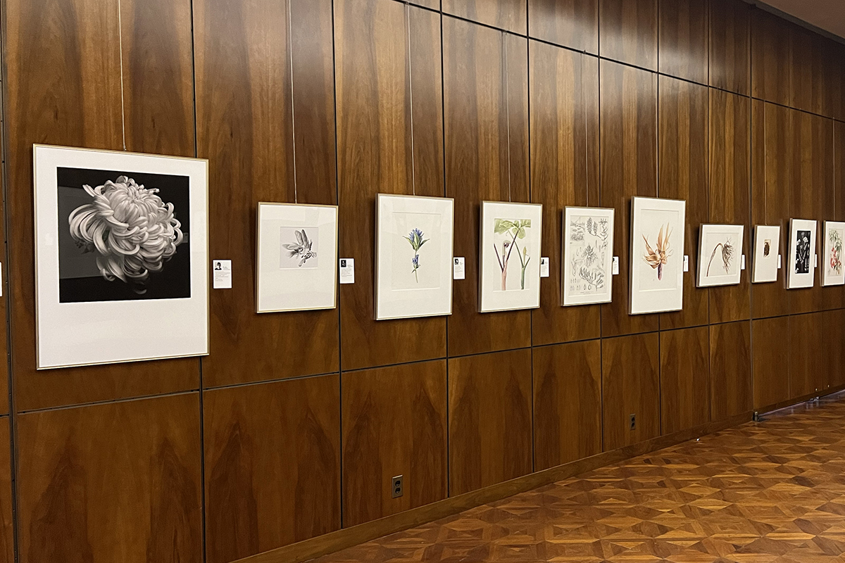 Hunt Botanical Library
